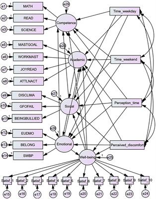 Risks in Adolescent Adjustment by Internet Exposure: Evidence From PISA